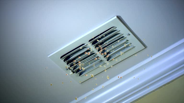 Best Air Vent Cleaning Services  in North Branch, MI