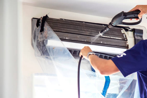 Best Air Duct Cleaning Near Me  in North Branch, MI