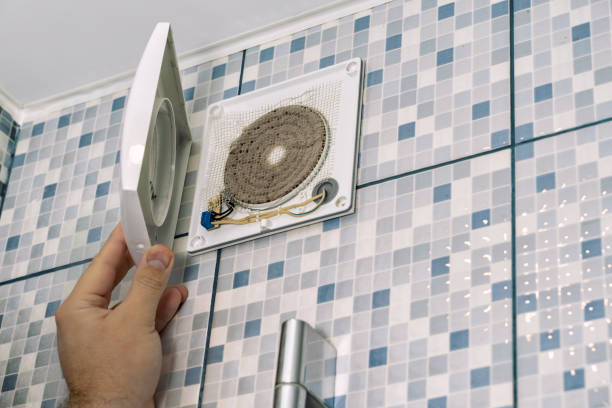 Best Best Air Duct Cleaning Near Me  in North Branch, MI