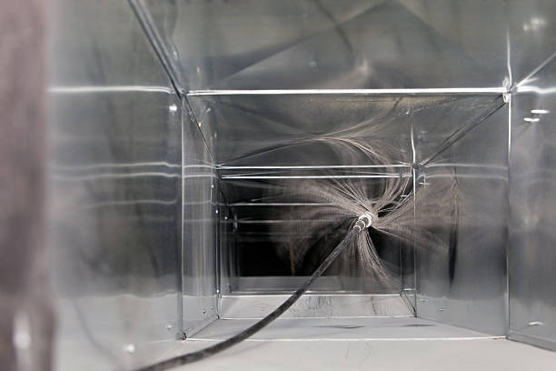 Best Dryer Vent Cleaning Services  in North Branch, MI