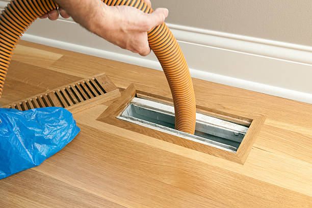 Best Ductwork Cleaning Services  in North Branch, MI