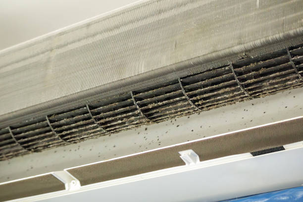 Best Air Duct Cleaning Company Near Me  in North Branch, MI