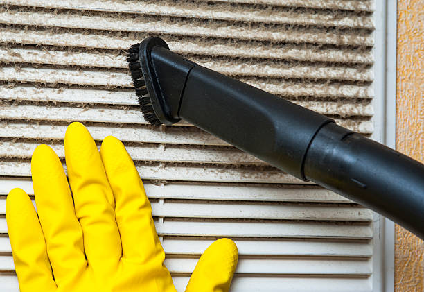 Best HVAC Maintenance and Cleaning  in North Branch, MI