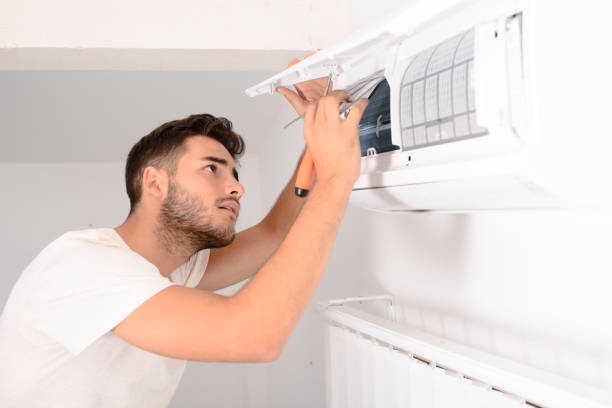 Best Air Duct Sanitizing Services  in North Branch, MI