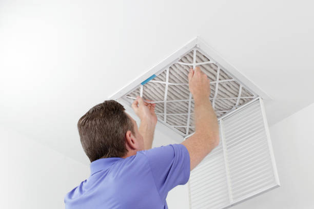 Best Local Air Duct Cleaning Services  in North Branch, MI